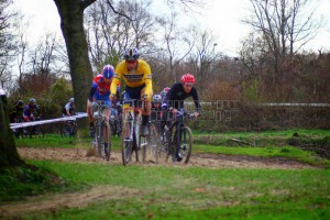 spektakel in de zandbak spektakel in de zandbak