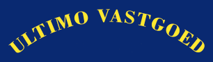 Logo-website